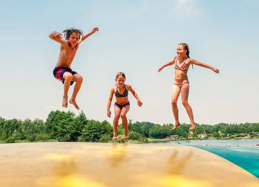 Luxe bos cottage voor vakantie in Limburg - 36