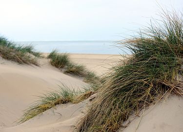 Overnachten op een unieke locatie op Texel - 24