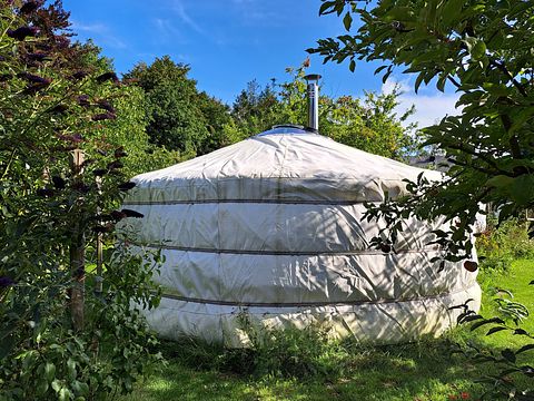 Bijzondere yurt op gezellige minicamping - 3