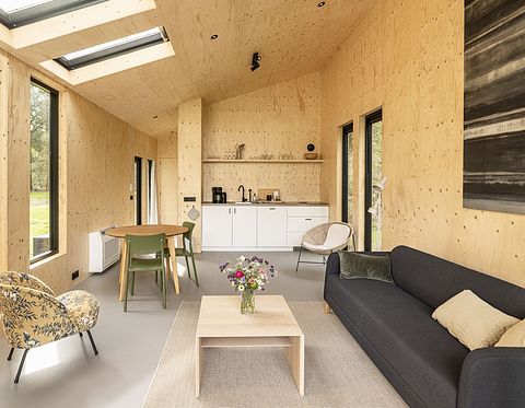 Tiny house in Overijssel (hond toegestaan) - 3
