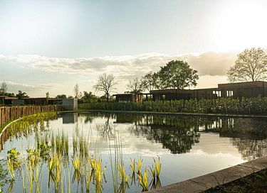 Wellness tiny house met sauna en hottub - 18