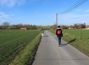 Catch your breath in the Flemish Ardennes - 31