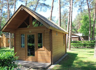 Trekkershut voor 4 personen in het bos - 5