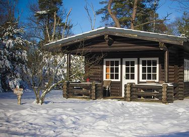 Cabane robuste en rondins (5p) à Holterberg - 7