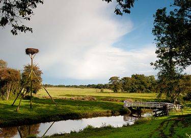 Ruim vakantiehuis voor 12 personen in Drenthe - 22