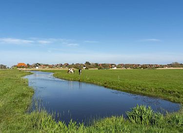 Vakantiehuis op loopafstand van strand en bos - 25