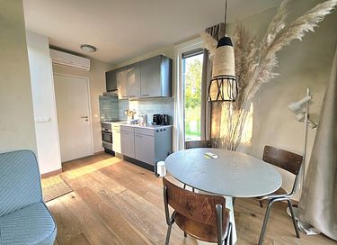 Cozy Tiny House in the peaceful Reestdal - 4