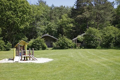 Tente safari (6p) sur un camping boisé en Drenthe - 3