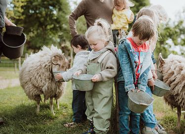 Knusse studio (4p) op Gelderse boerderij - 22