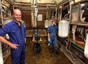 Zelt-Ferienhaus mit eigener Dusche in Zeeland - 25