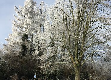 Prachtige lodge in de Belgische natuur - 11