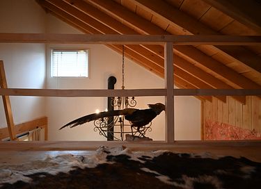 Einzigartiges Cottage in ländlicher Umgebung - 15