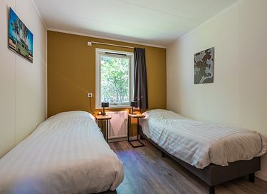 Chalet confortable dans les forêts de Drenthe - 10