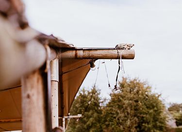 Luxuriöses Safarizelt (5 Personen) mit Klimaanlage - 29