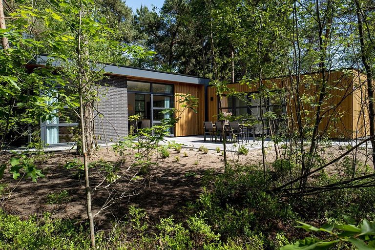 Maison de vacances de luxe (6p) sur la Veluwe - 1