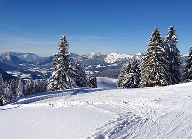 Magnifique chalet (10 pers) en Autriche - 3