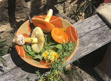 Se détendre et profiter de la nature en France - 28
