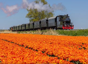 Gemütliches Häuschen (4p) in der Nähe des Markermeers - 31