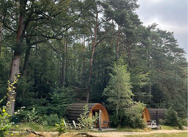 Gemütliche Hütte mit Außendusche im Wald - 16