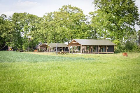 Luxe familielodge met hottub in Twente - 4