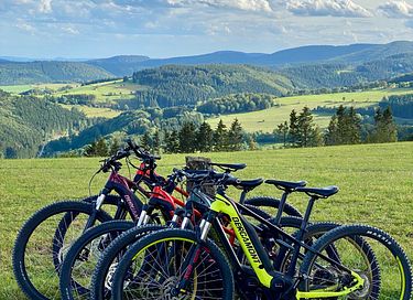 Grand chalet de vacances dans le Sauerland - 36