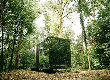 Ruhe und Frieden in den belgischen Wäldern