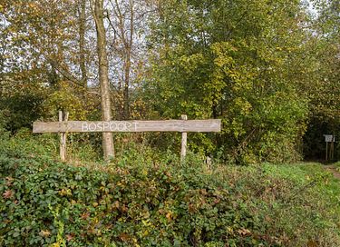 Ferienhaus in der Natur in Drenthe (A-Rahmen) - 60