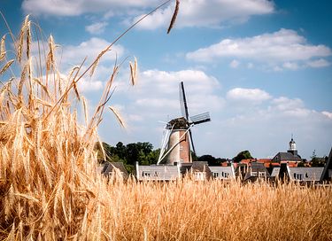 ferienwohnungen mit sauna in Overijssel (2p) - 13
