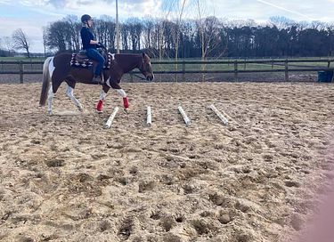 Overnachting op een ranch incl. paardrijles - 17