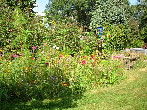 Logement de vacances dans le Limbourg avec piscine - 4