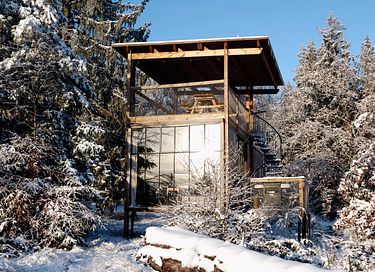 Luxe boomhut met dakterras en wellness - 3