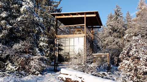 Luxe boomhut met dakterras en wellness - 3