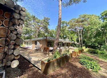 Romantic hide out in the forest near the sea - 41