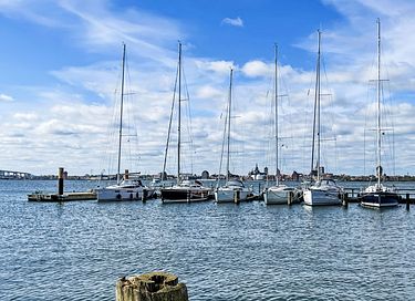 Logement de vacances avec sauna sur l'île de Rügen - 43