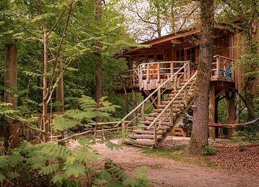 Prachtige boomhut (4p) midden in de natuur - 4