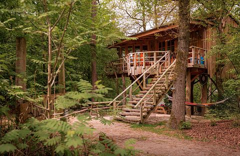 Prachtige boomhut (4p) midden in de natuur - 4