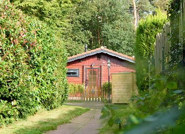 Cabane en rondins robuste avec sauna dans la forêt - 41