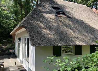 Cozy cottage in the forest - 31