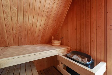 Luxury wellness villa in Friesland - 4