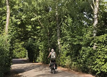 Comfortabel vakantiehuis (6p) in het bos - 20