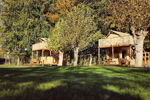 Tente glamping (2p) en hauteur ! - 4