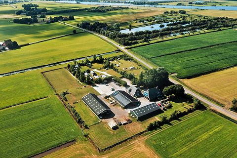 Natuurhuisje in Friesland (2p) - 2