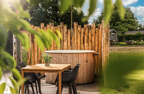 Lodge de luxe avec sauna et bain à remous à Overijssel - 2