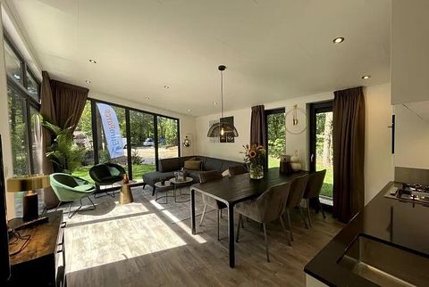 Luxury 6-person holiday home in Drenthe - 2