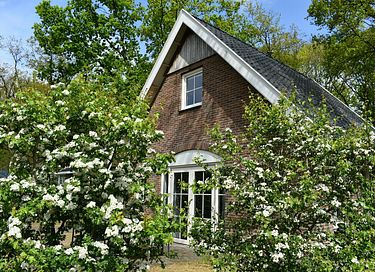 Luxe bungalow vlakbij natuurgebied - 3
