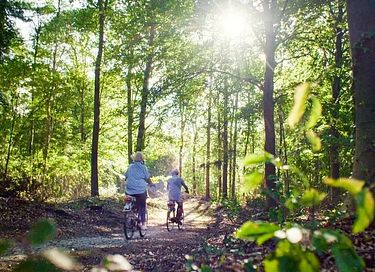 Sfeervol vakantiehuis in groene omgeving - 27