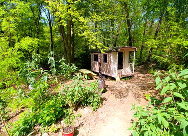 Einzelner Zirkuswagen im Wald - 24
