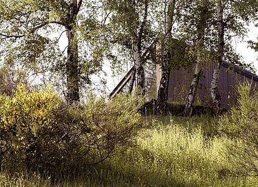 Cabane romantique dans un cadre magnifique - 19
