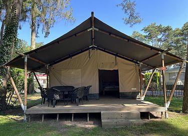 Glampingzelt für 4 Personen in Belgisch Limburg - 10