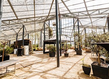 3x Doppelzelt in ein Gewächshaus mit Badefass - 2